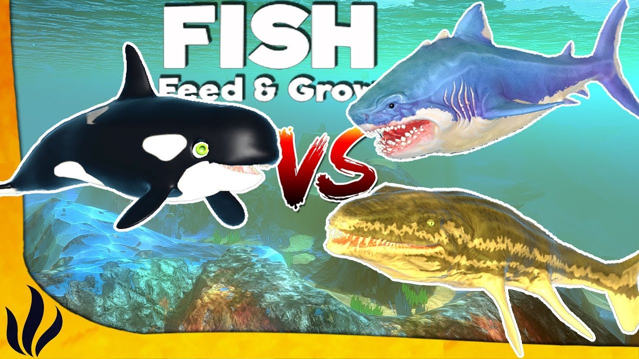 Fish feed and grow megalodon not showing up youtube